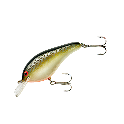 Bandit Flat Maxx Shallow Crankbaits