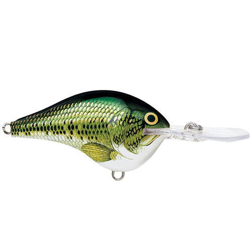 Rapala DT Series Crankbait