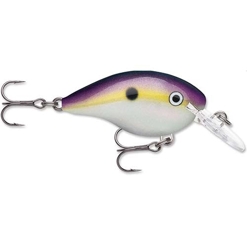 Rapala DT Series Crankbait