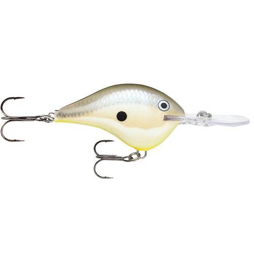 Rapala DT Series Crankbait