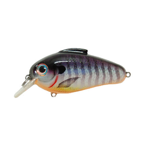 Bill Lewis Echo 1.75 Square Bill Crankbait