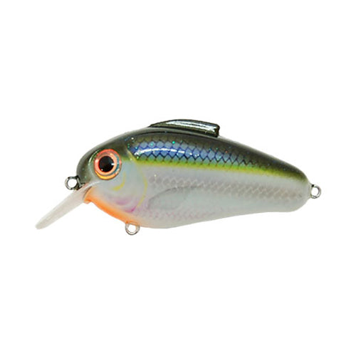 Bill Lewis Echo 1.75 Square Bill Crankbait