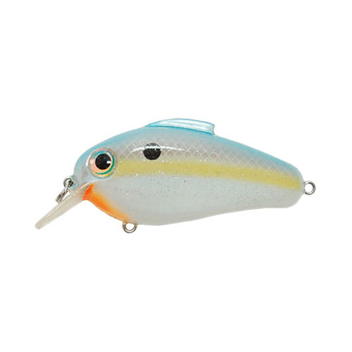 Bill Lewis Echo 1.75 Square Bill Crankbait