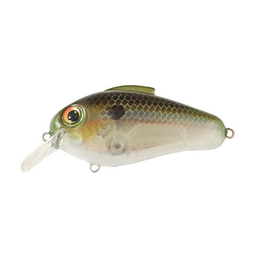 Bill Lewis Echo 1.75 Square Bill Crankbait