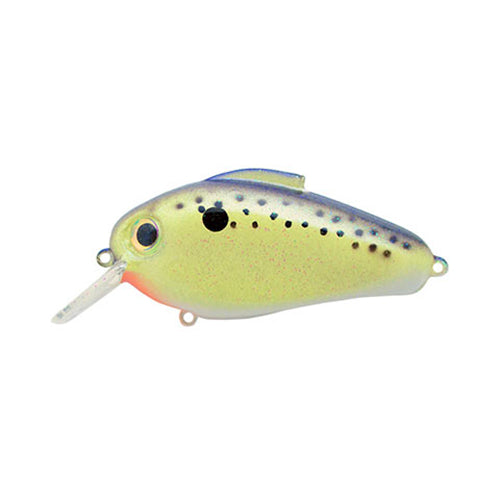 Bill Lewis Echo 1.75 Square Bill Crankbait