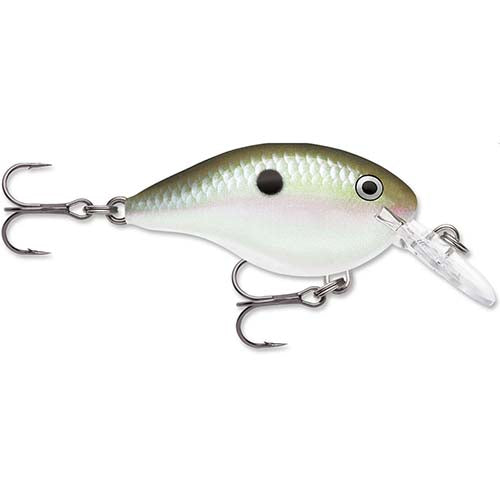 Rapala DT Series Crankbait