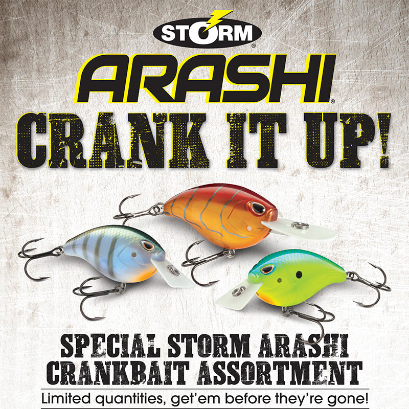 Storm Arashi Crankbait Assortment - 72 pieces