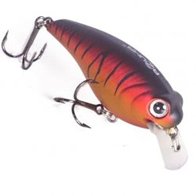 Azuma Square Dance Crankbait