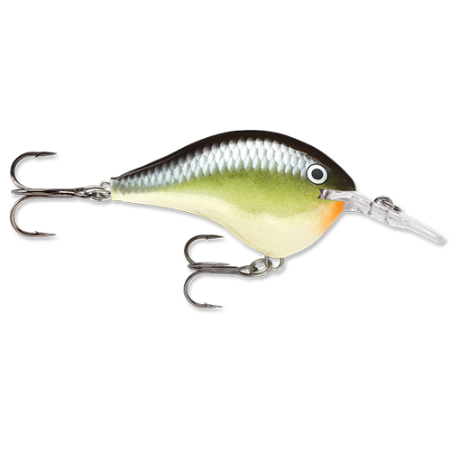 Rapala DT Series Crankbait